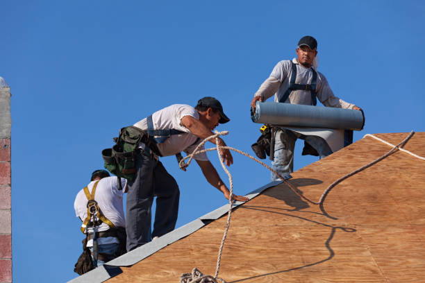 Best Roof Waterproofing Services  in Zelienople, PA